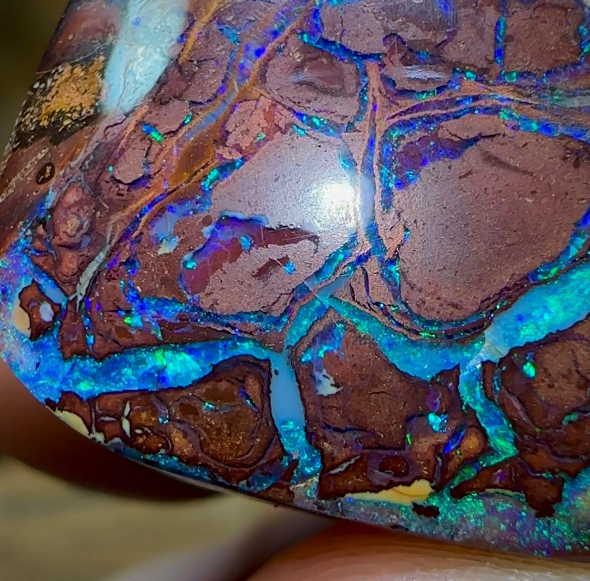 50.3cts - Tribal Australian Boulder Opal. Aquatic Pattern - Opal Whisperers