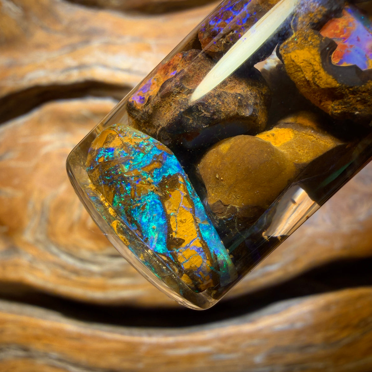 68.7cts - Yowah Nut Opal Rough Vial