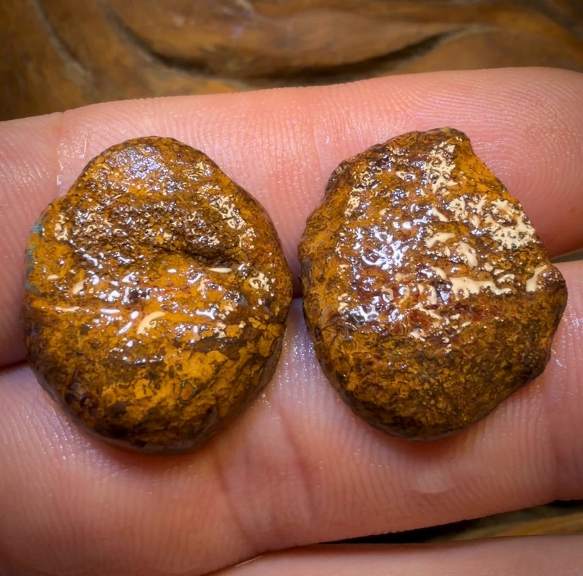 TGIF 32cts - Tribal Yowah Nut Opal Rough Pair. Australian Opal