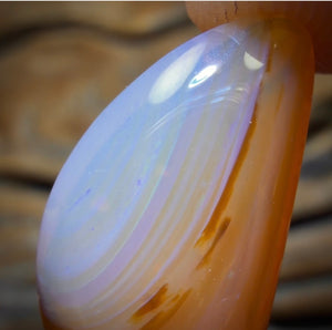 9.1cts - Honey Shell Queensland Boulder Seam Opal