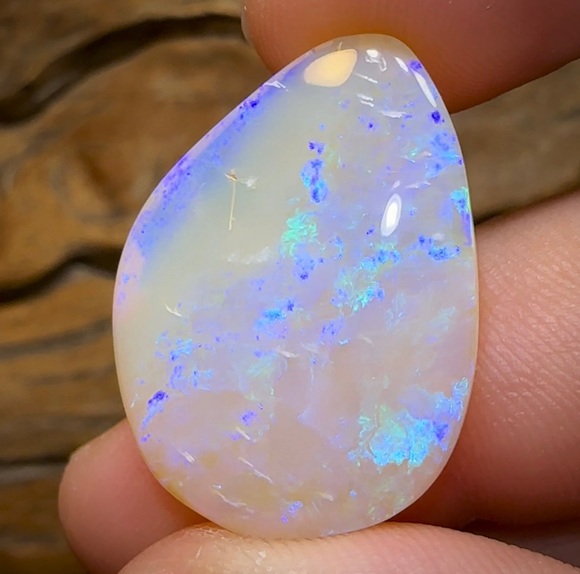 21.2cts - Lightning Ridge Crystal Opal - Opal Whisperers