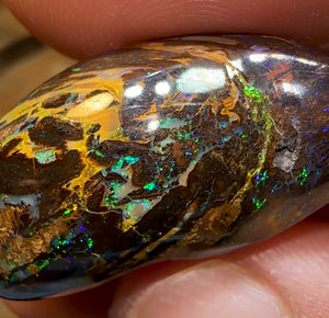 50cts - Double Sided Koroit Unique Tribal and Wood Combination Queensland Boulder Opal - Opal Whisperers