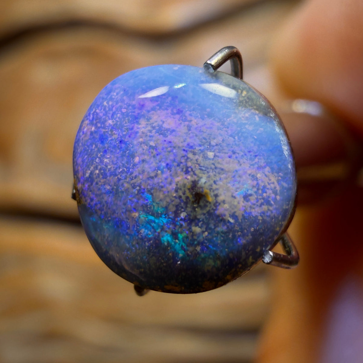 Roadshow Card 2.3cts - Queensland Boulder Seam Opal from Winton