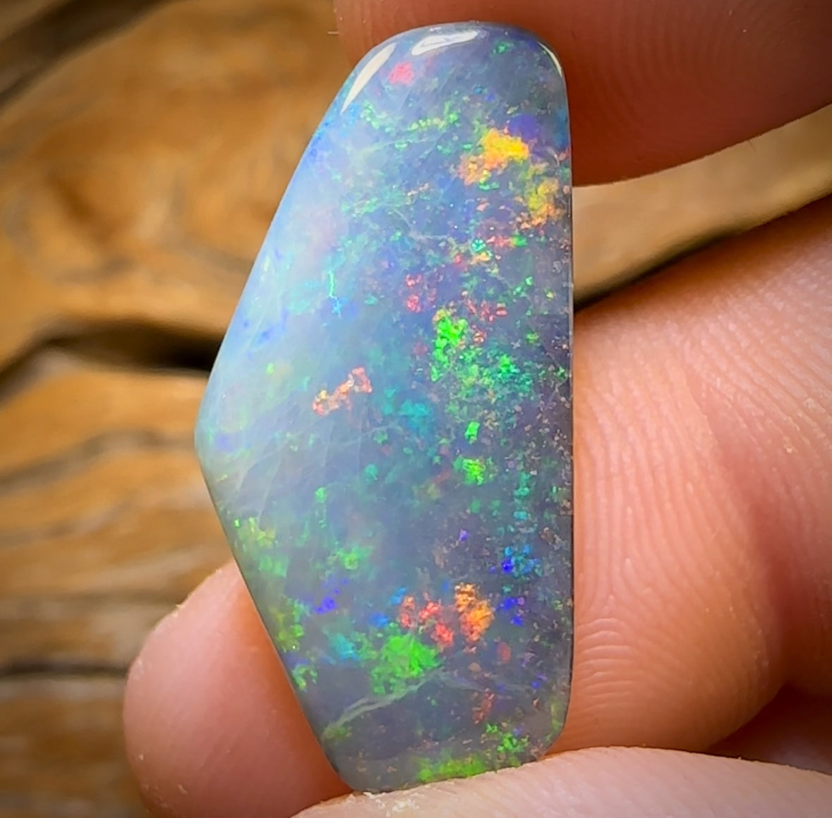 15.6cts - GEM Queensland Boulder Seam Opal