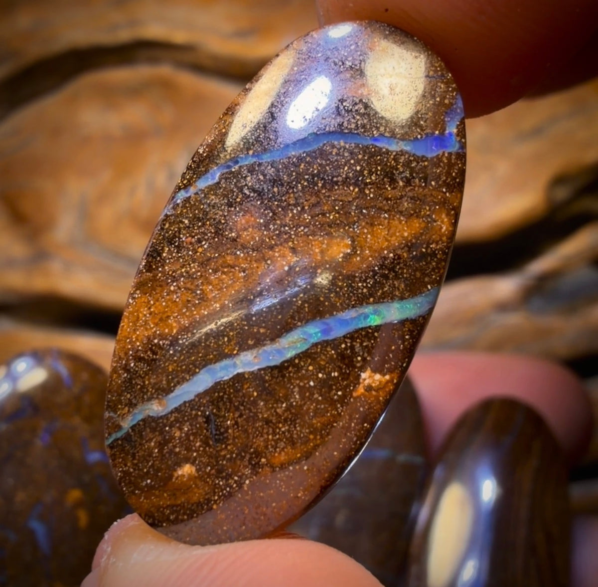 322.6cts - 10x Australian Boulder Seam Opal’s. Wholesale Dealers Parcel