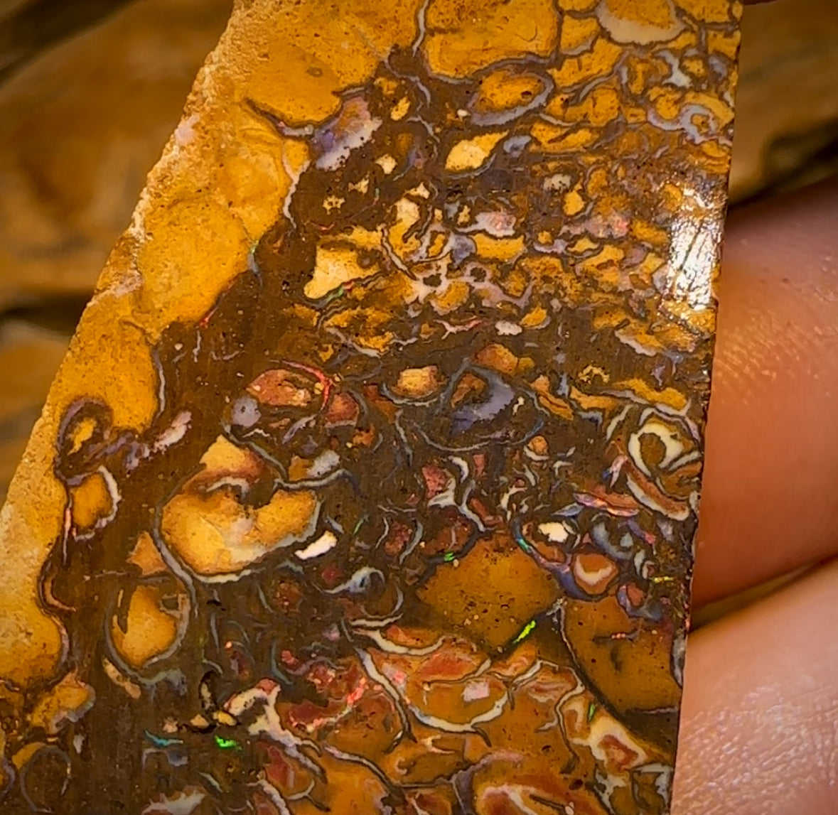 154cts -  Tribal Queensland Boulder Opal Rough Piece