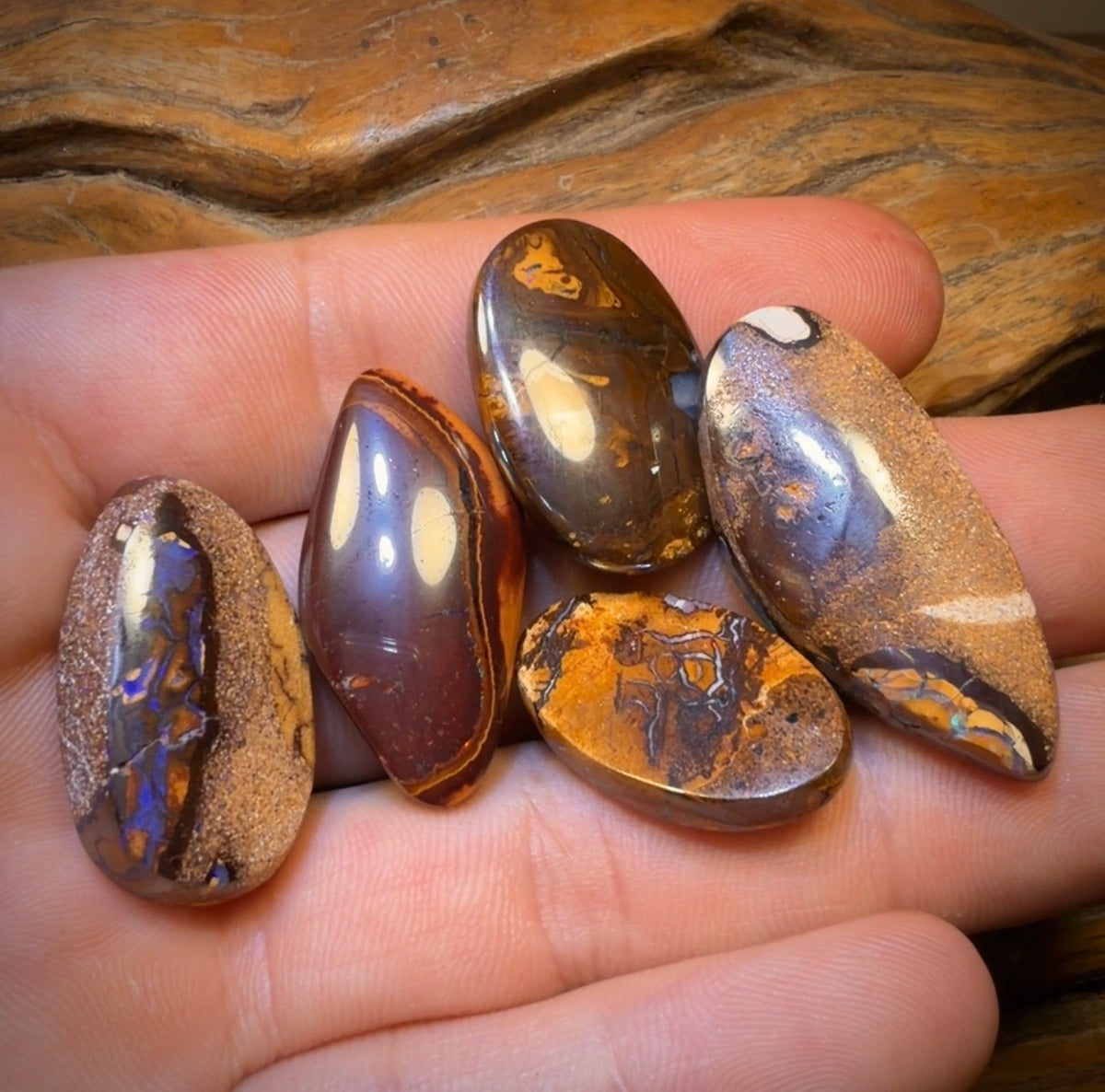 134.2cts - 5x Australian  Boulder Opal’s. Wholesale Dealers Parcel