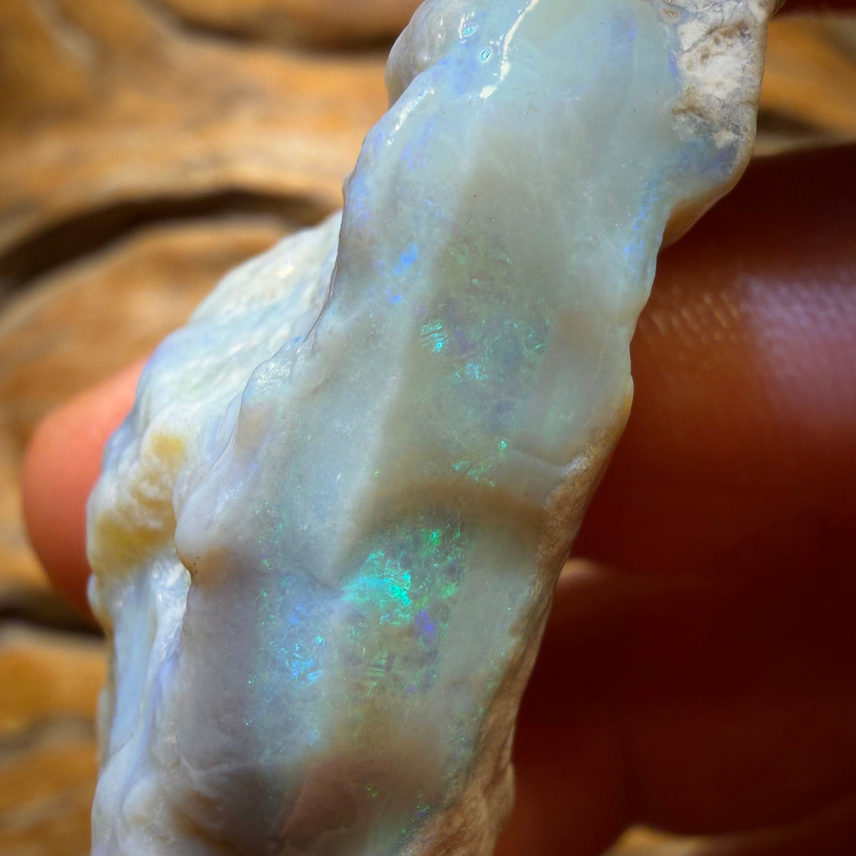 82.7cts - Lightning Ridge Dark Opal Rough Piece