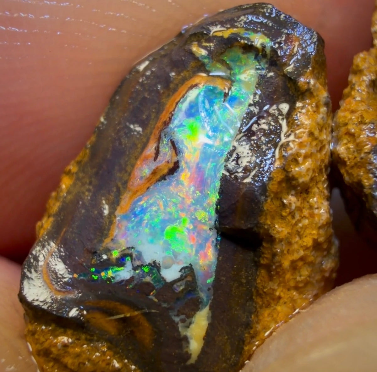 16.8cts - Yowah Jojo Nut Crystal Centre Rough Pair