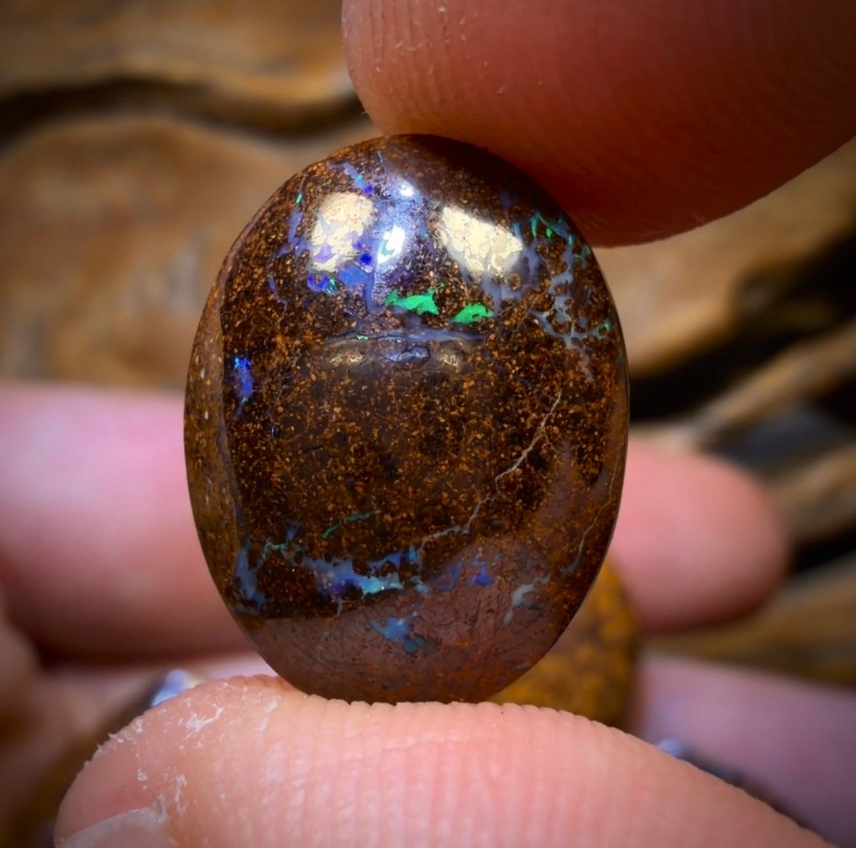48 hour Vip Crazy Offer 99.8cts - 5x Australian Tribal Boulder Opal’s. Wholesale Dealers Parcel