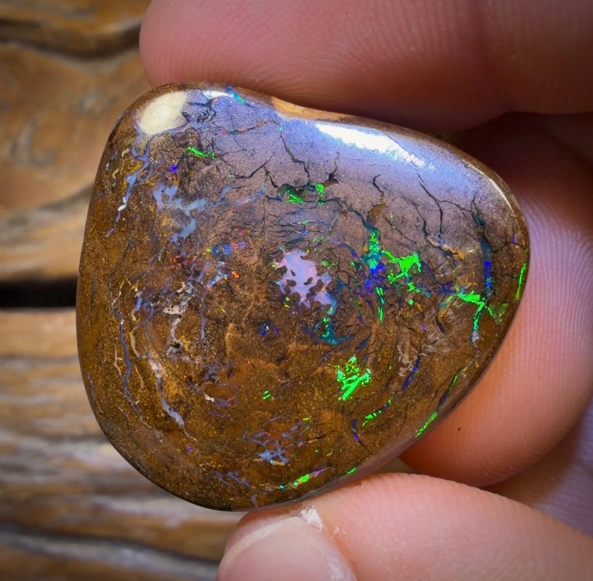 68.2cts - Queensland Boulder Opal. Bubbleband Formation