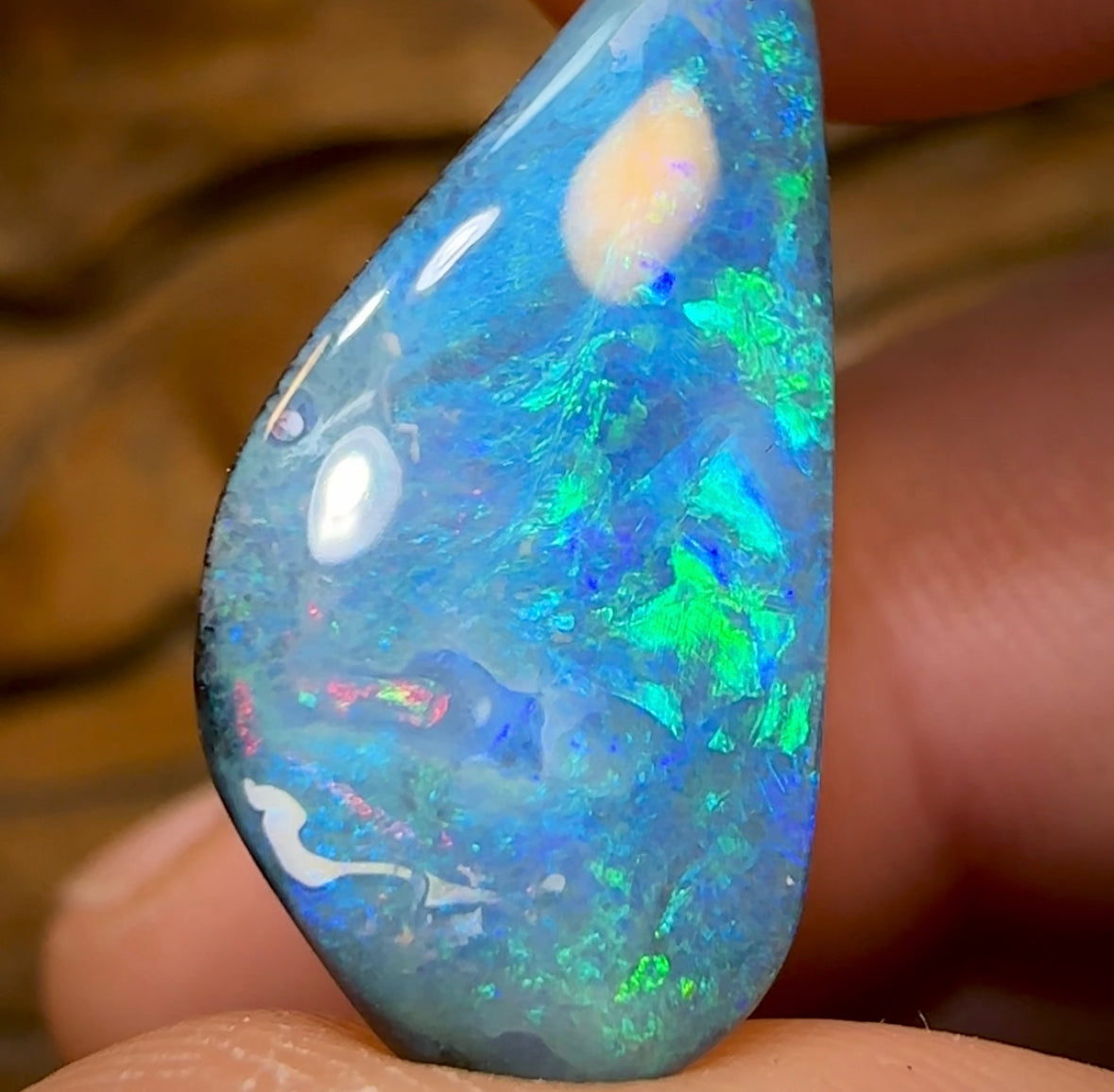12.5cts - Queensland Boulder Opal from Winton - Opal Whisperers