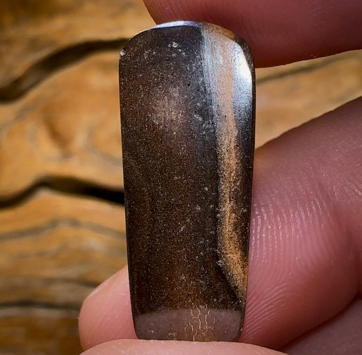 16.6cts - Yowah Nut Tribal Opal - Opal Whisperers