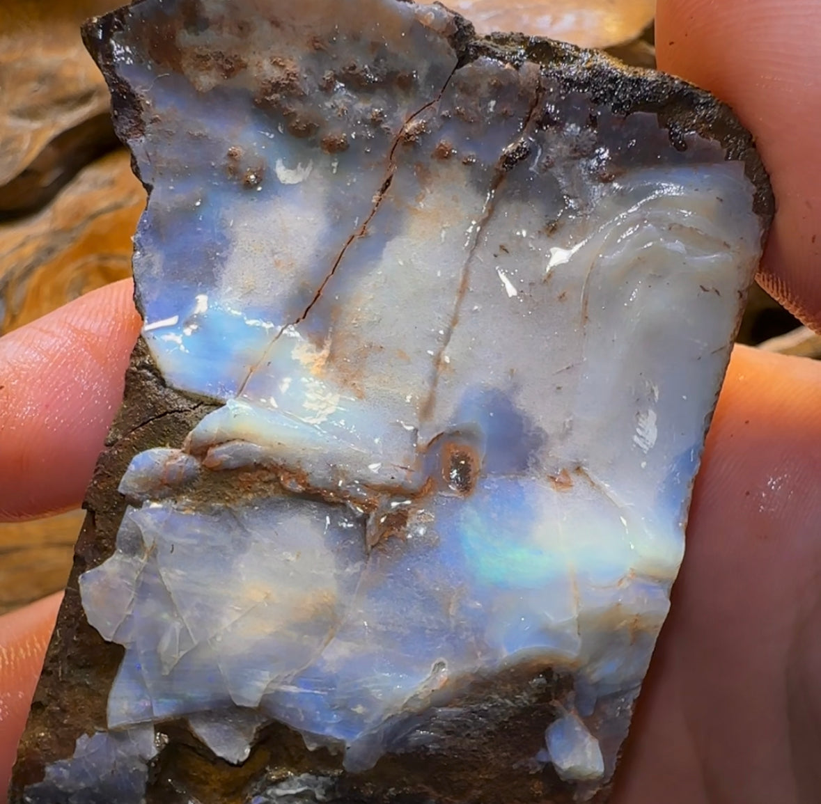 292g - Queensland Boulder Seam Opal Rough Specimen - Opal Whisperers