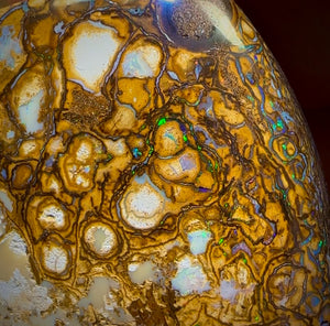 617.5cts - Tan Tribal Queensland Boulder Opal. Polished Specimen