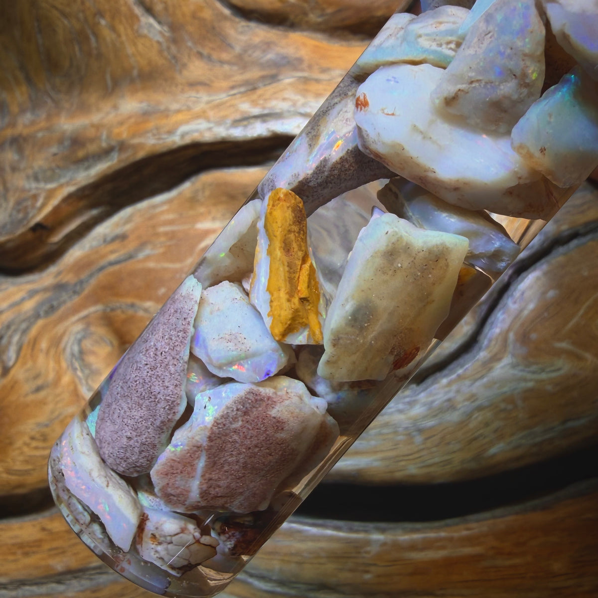 Wild Card!  110.8cts - Vial of Shell Fossil Opal from South Australia