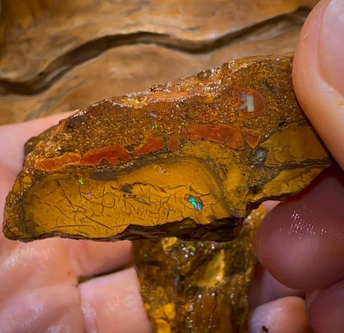 337.3cts - 3x Yowah Nut Rough Opal Parcel. Queensland Boulder Opal - Opal Whisperers