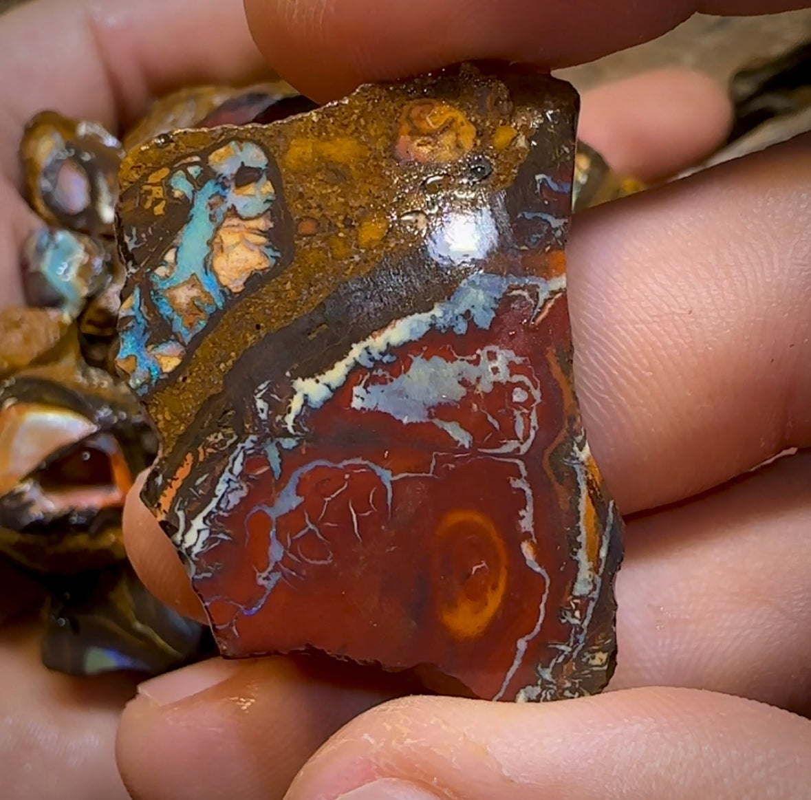 261.8g - 29x Yowah Nut Rough Pieces. Australian Opal With Kernel Crystal Centres. Less than $1/ct - Opal Whisperers