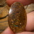 19.6cts - Tribal Pattern Queeensland Boulder Opal - Opal Whisperers