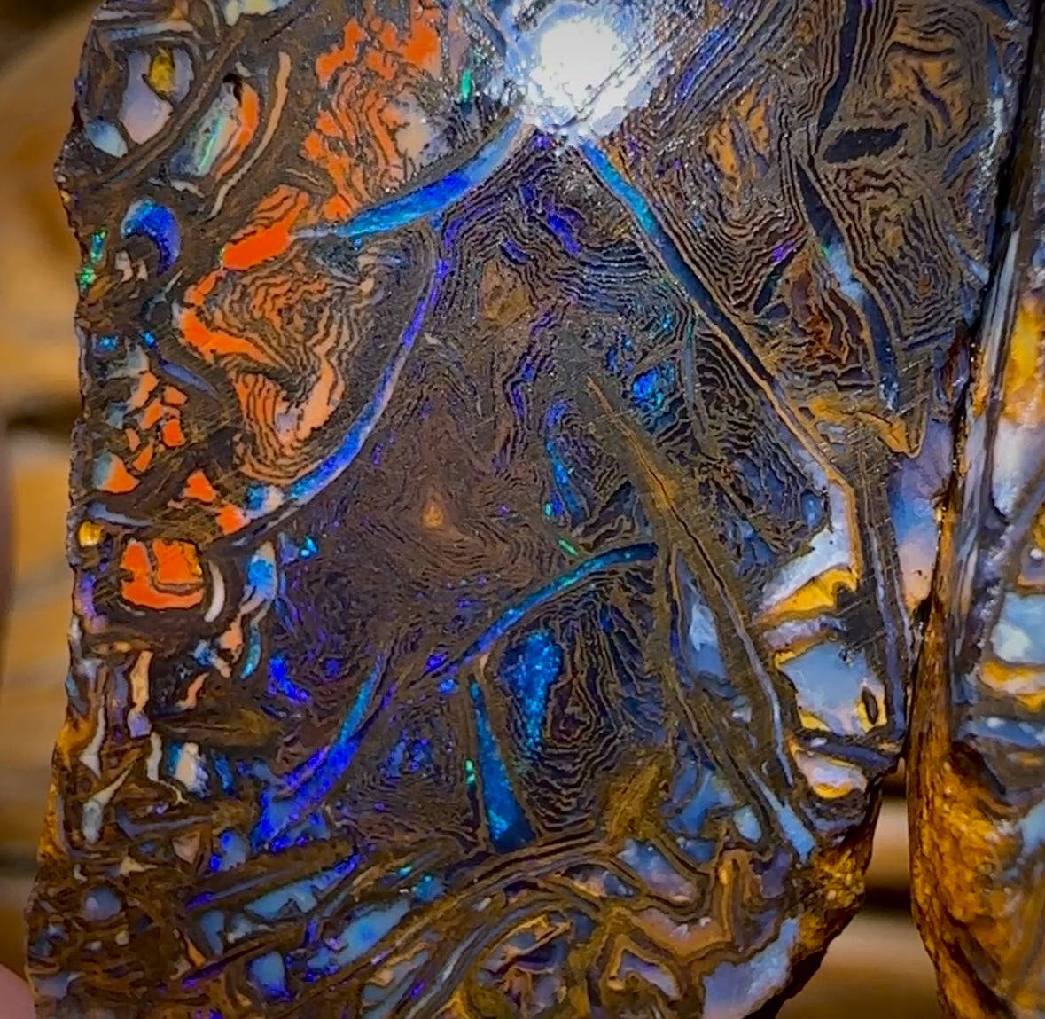 Bargain Card! 217.2cts - Tribal Yowah Nut Opal Rough Pair. Australian Opal