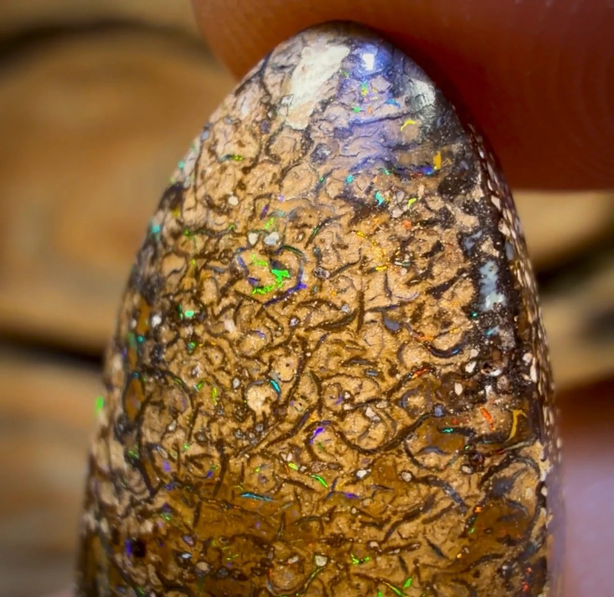 18,9 ct – Stammesopal aus Australien von Yowah