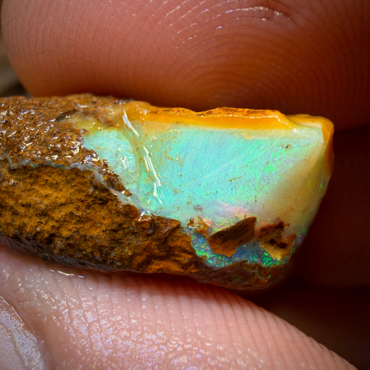 17.2cts - Boulder Pipe Opal Rough Piece. Australian Opal
