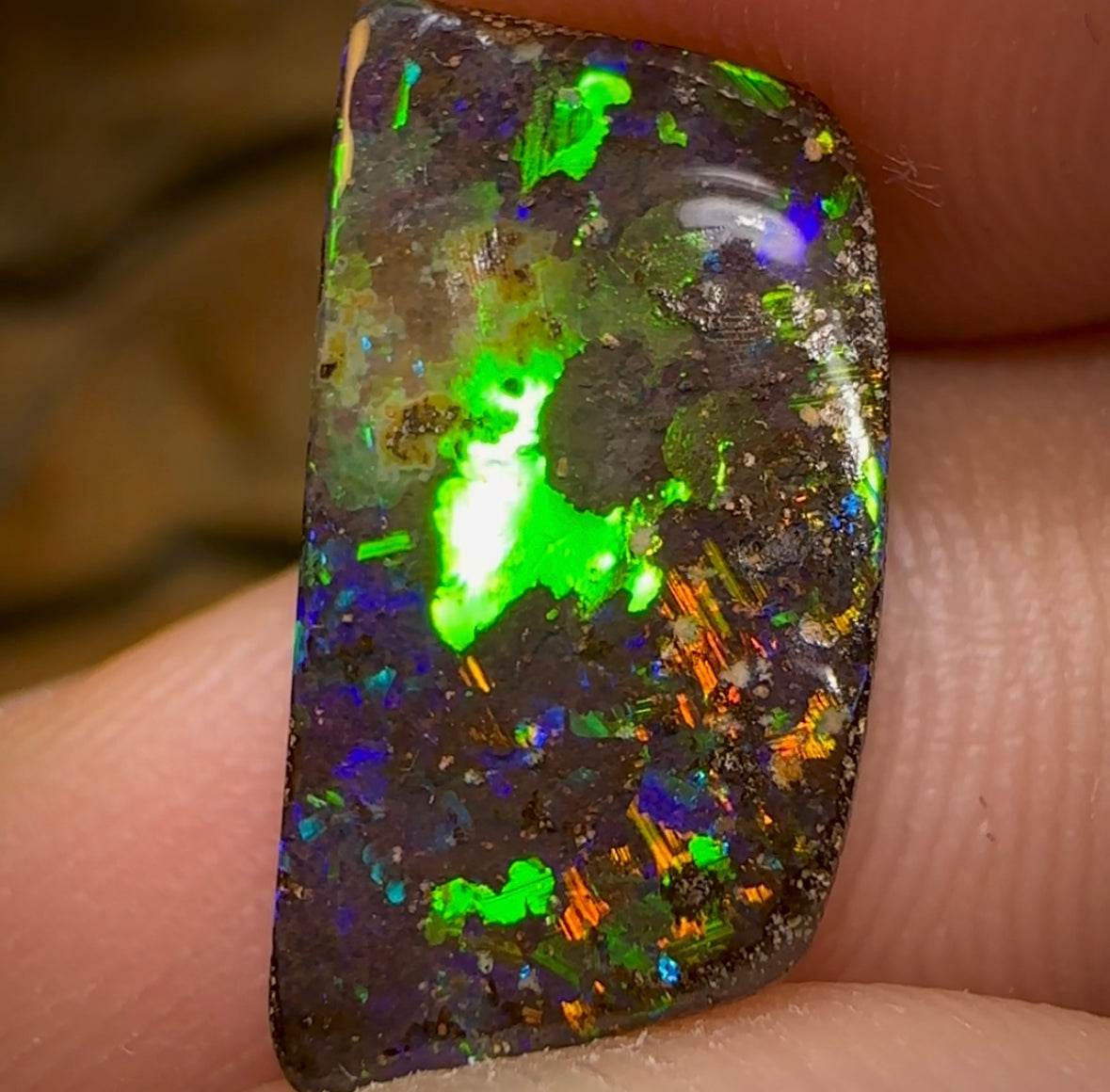 6.1cts - Top Australian Boulder Opal from Winton - Opal Whisperers