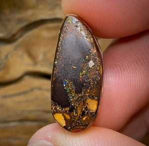 17.5cts - Yowah Nut Kernel Opal, Christmas Beetle