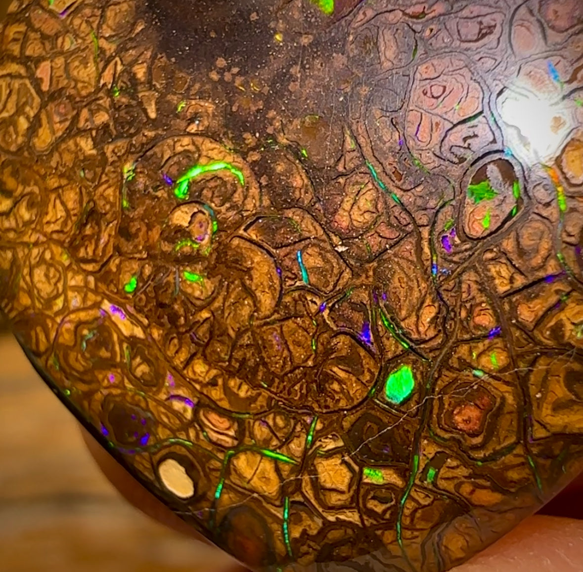 29.3cts - Tribal Yowah Nut Opal. Electric Green