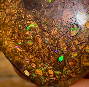 29.3cts - Tribal Yowah Nut Opal. Electric Green