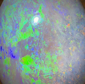 49.5cts - Large South Australian Crystal on Unique “Mother of Matrix” Multicolours!