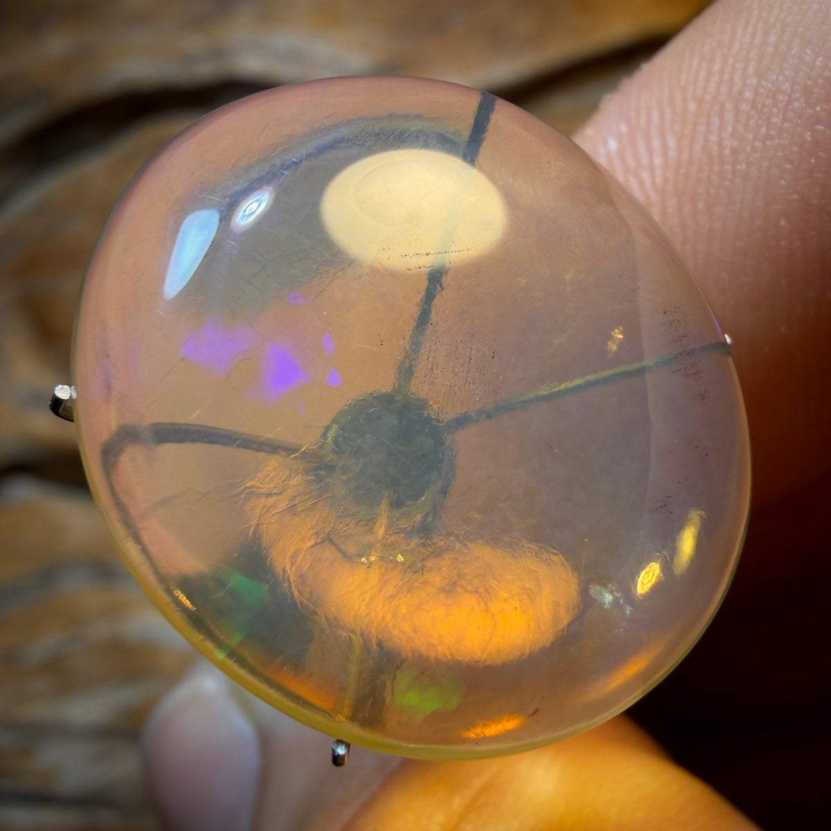 Australischer Opal in reiner Kristallqualität von Lightning Ridge, 21,2 Karat