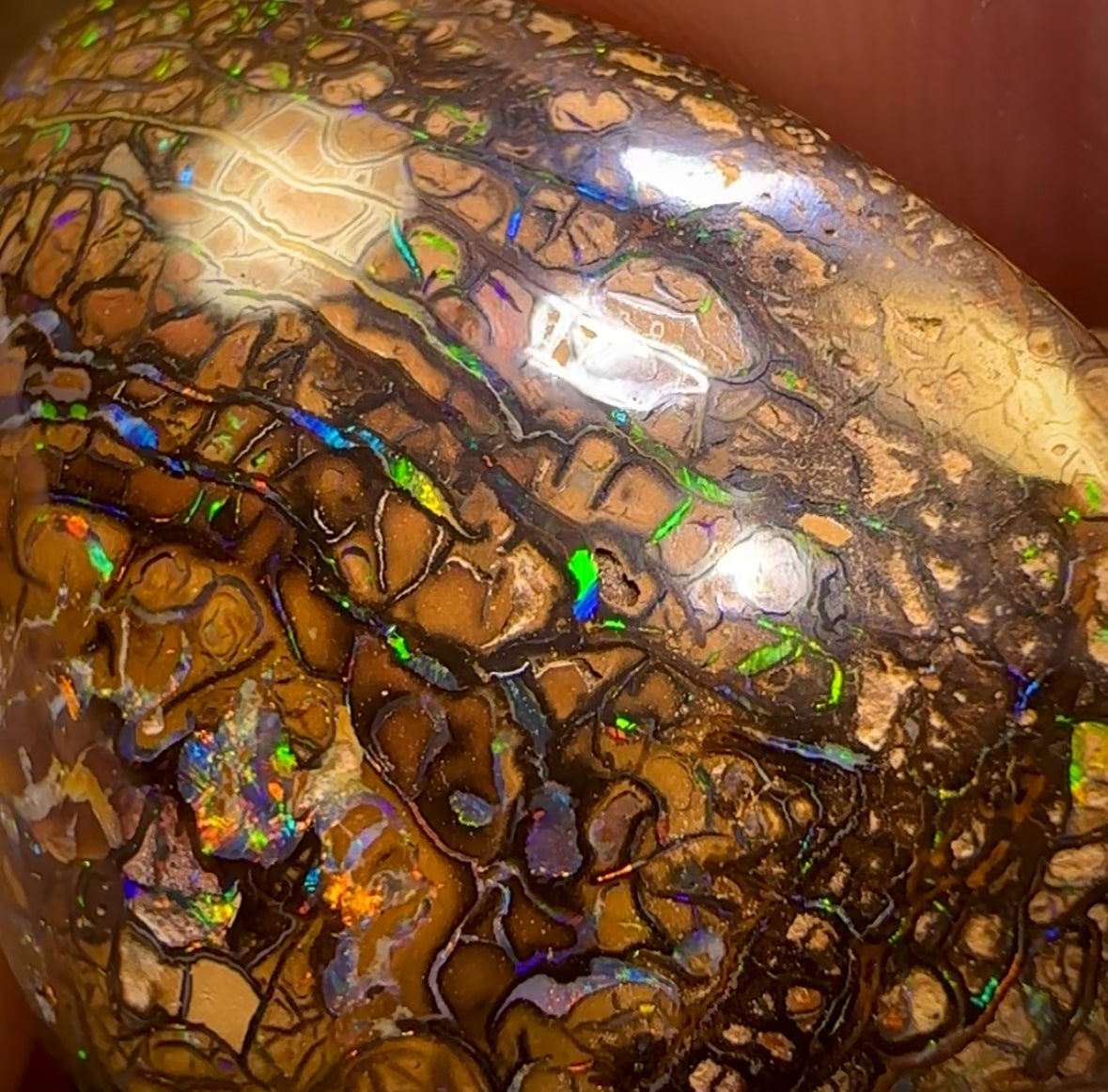 60.8cts - Top Tan Tribal Queensland Boulder Opal Double Sided