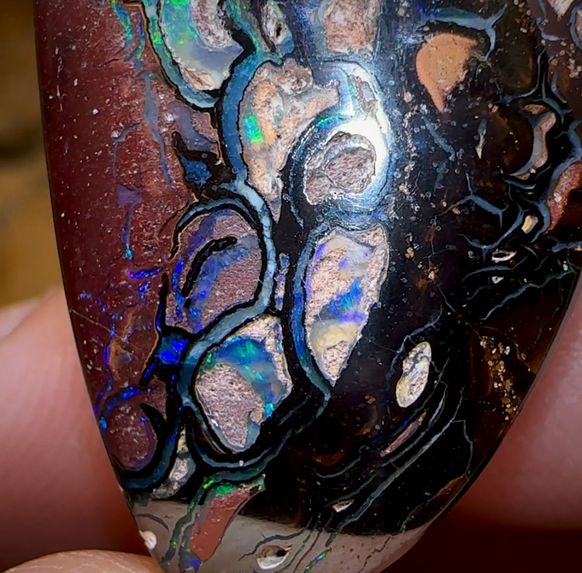 47.8cts - Tribal Koroit Nut Opal. Australian Opal - Opal Whisperers