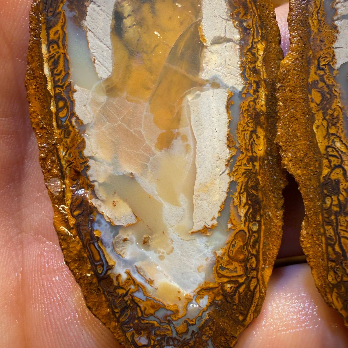 Aren’t you Glad you waited till the End Card! 254.8cts - RARE Yowah Nut Partial Crystal Centre Rough Specimen Pair