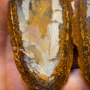 Aren’t you Glad you waited till the End Card! 254.8cts - RARE Yowah Nut Partial Crystal Centre Rough Specimen Pair