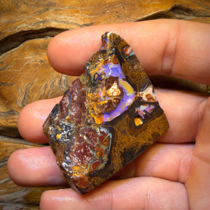 196.7cts - Yowah Nut Conglomerate Rough Piece. Featured On ‘OUTBACK OPAL HUNTERS’!!