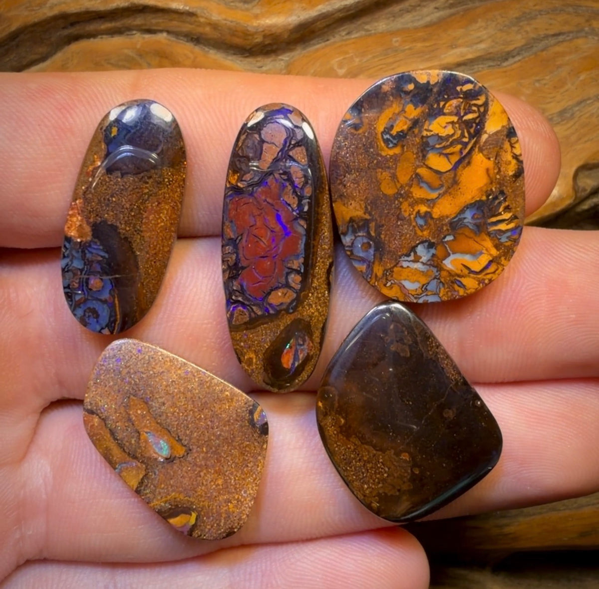 84.8cts - 5x Australian Tribal Boulder Opal’s. Wholesale Dealers Parcel