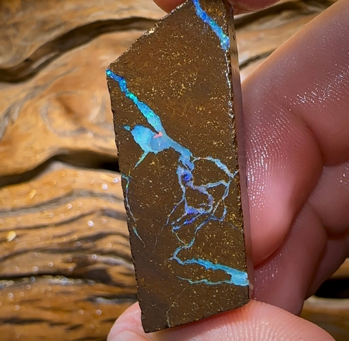 95cts - Australian Boulder Opal Rough Preform. Natural Split - Opal Whisperers