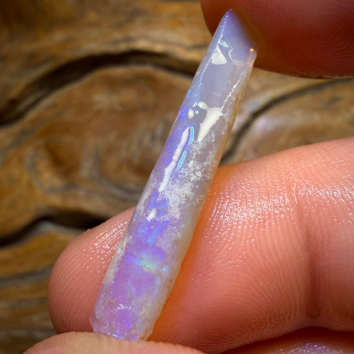8.2cts - Opalised Belemnite Geological Specimen from South Australia