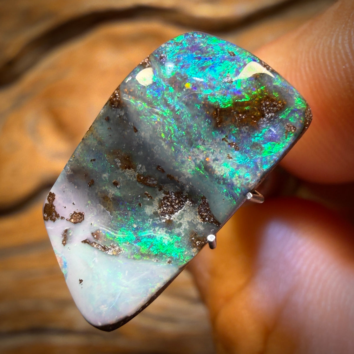 8.3cts - Queensland Boulder Seam Opal