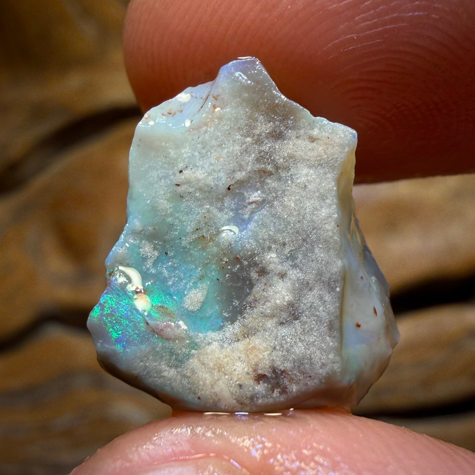 8.6cts - Lightning Ridge Dark Opal Rough Piece