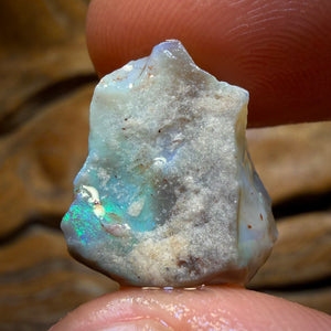 8.6cts - Lightning Ridge Dark Opal Rough Piece