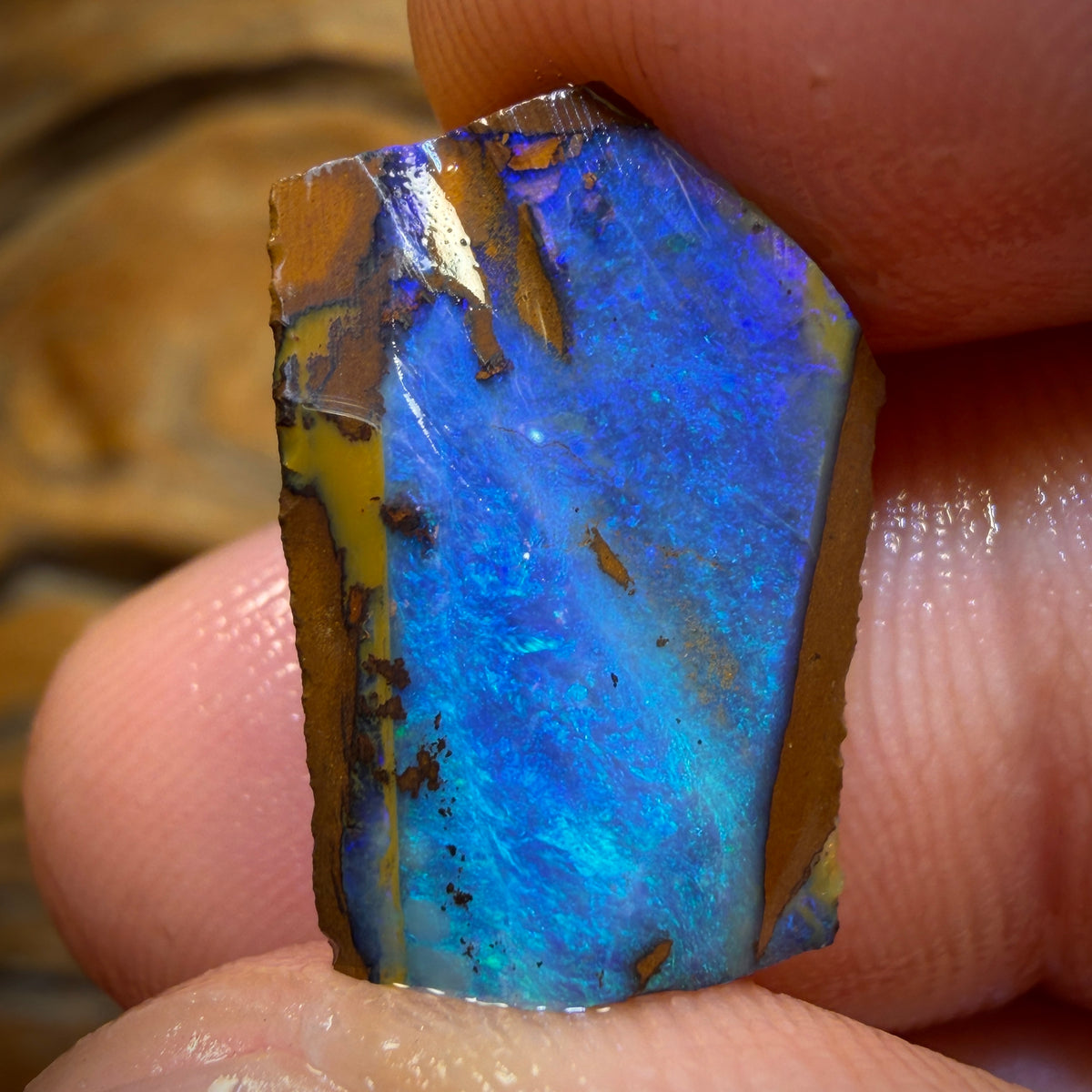 8.6cts - Queensland Boulder Seam Opal Rub