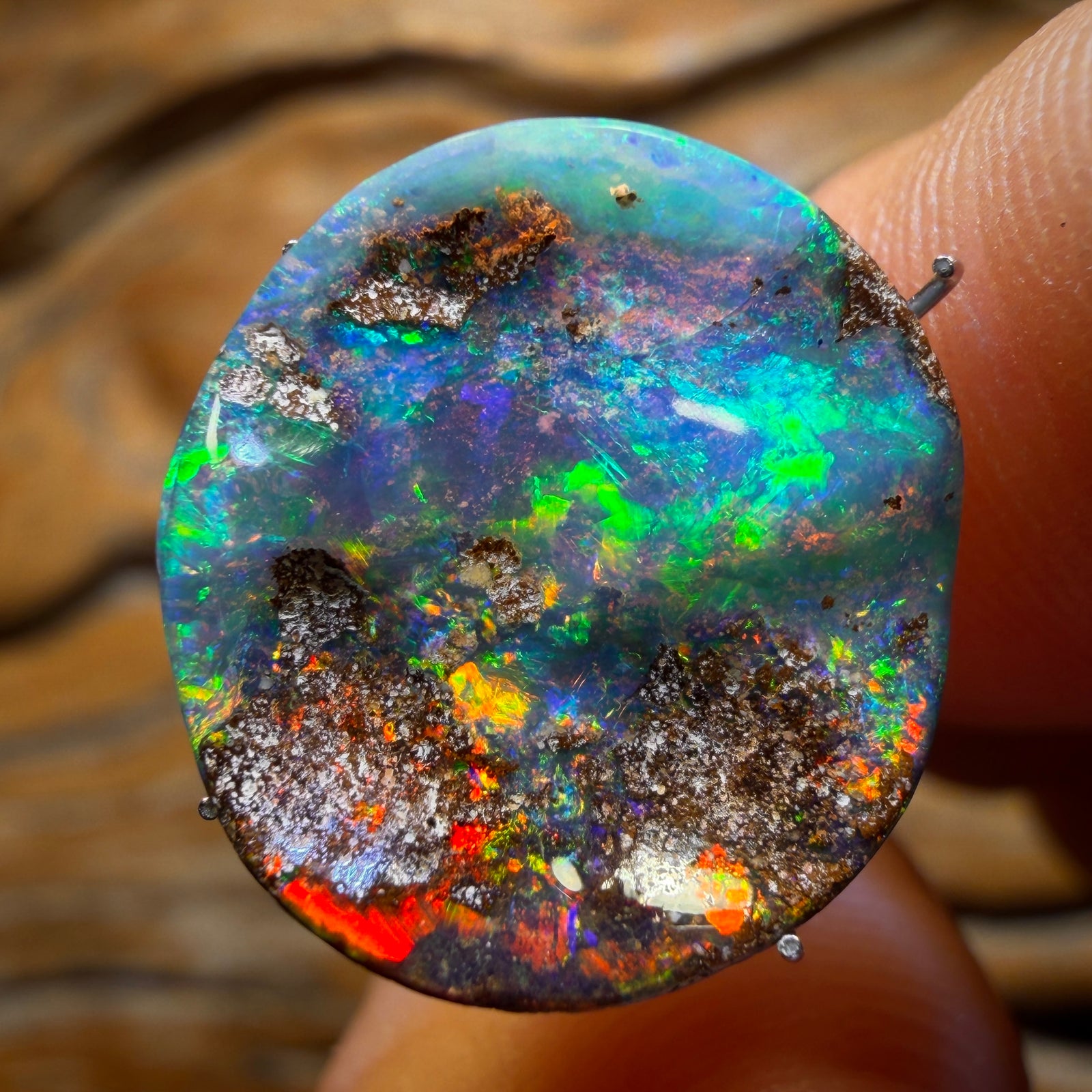 8.9cts - Top Australian Boulder Seam Opal from Winton