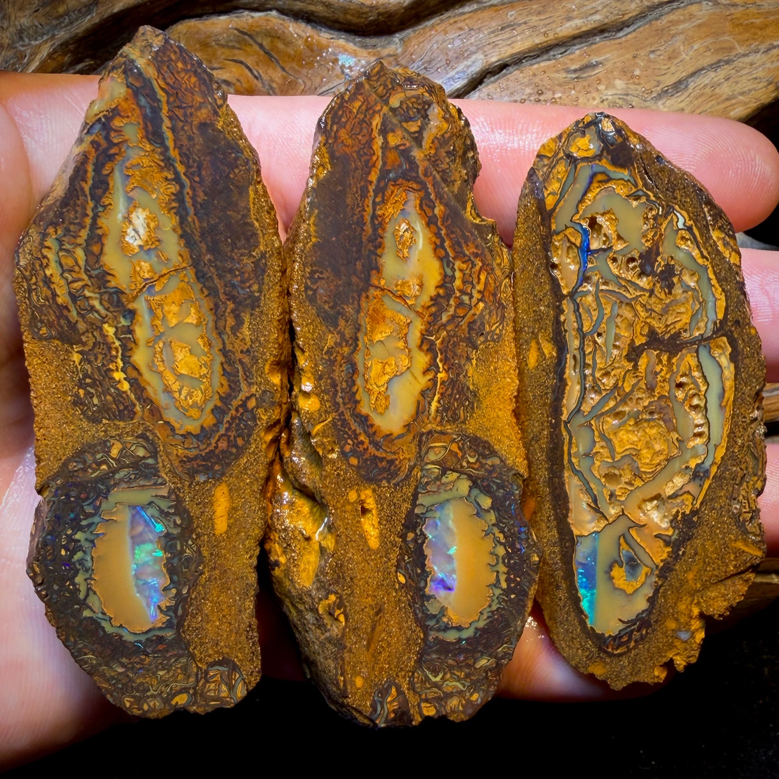 801cts - 3x Yowah Nut Crystal Centre Trio Rough Parcel. Australian Boulder Opal