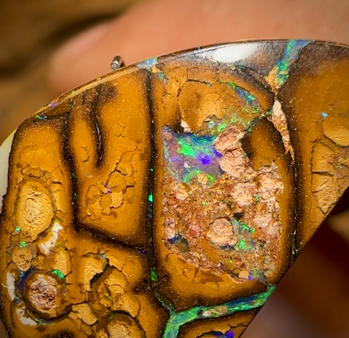 20.8cts - Yowah Nut Tribal Opal Picture Stone