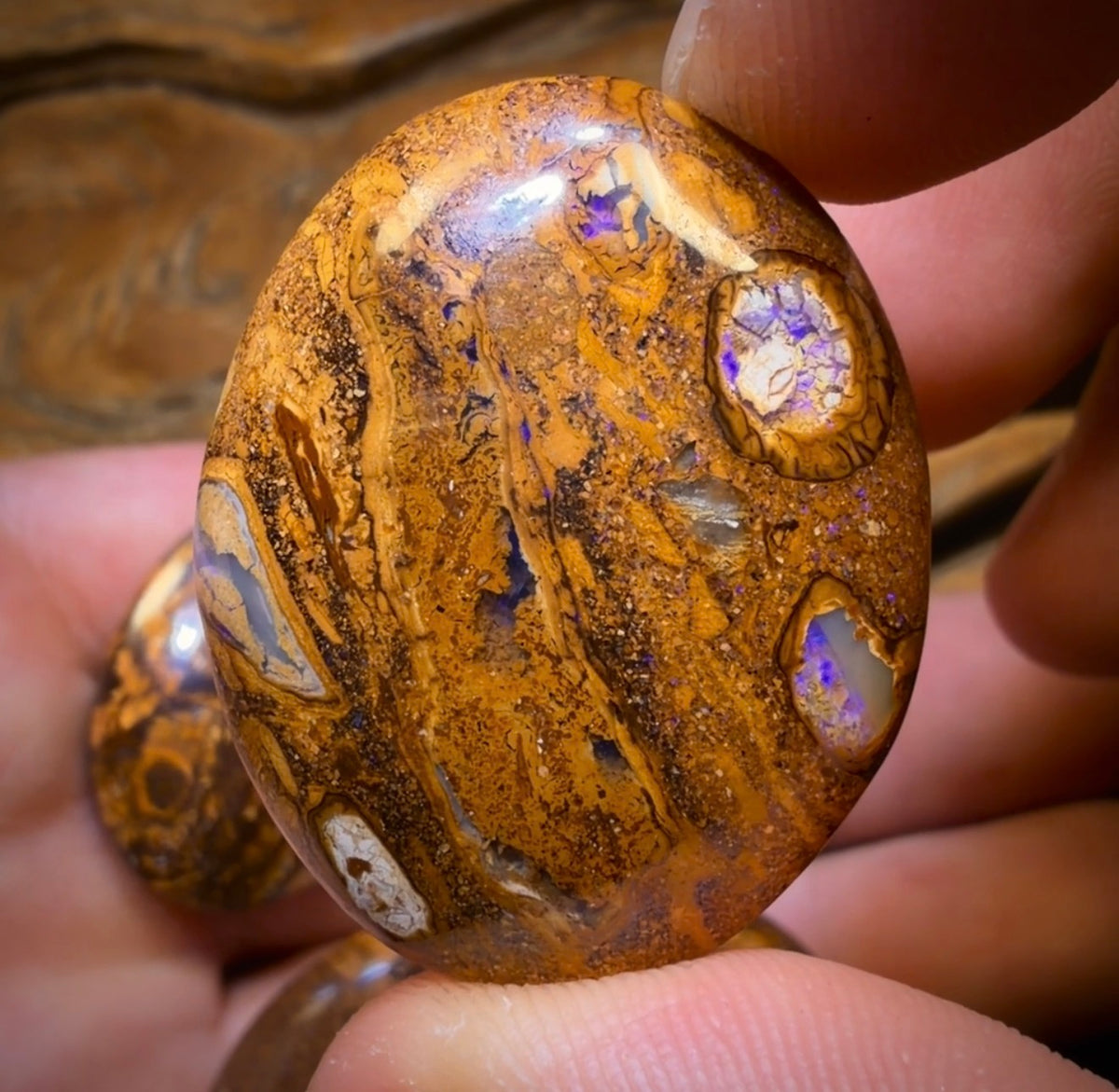 228.1cts - 3x Queensland Boulder Opal’s. Wholesale Dealers Parcel $1/ct