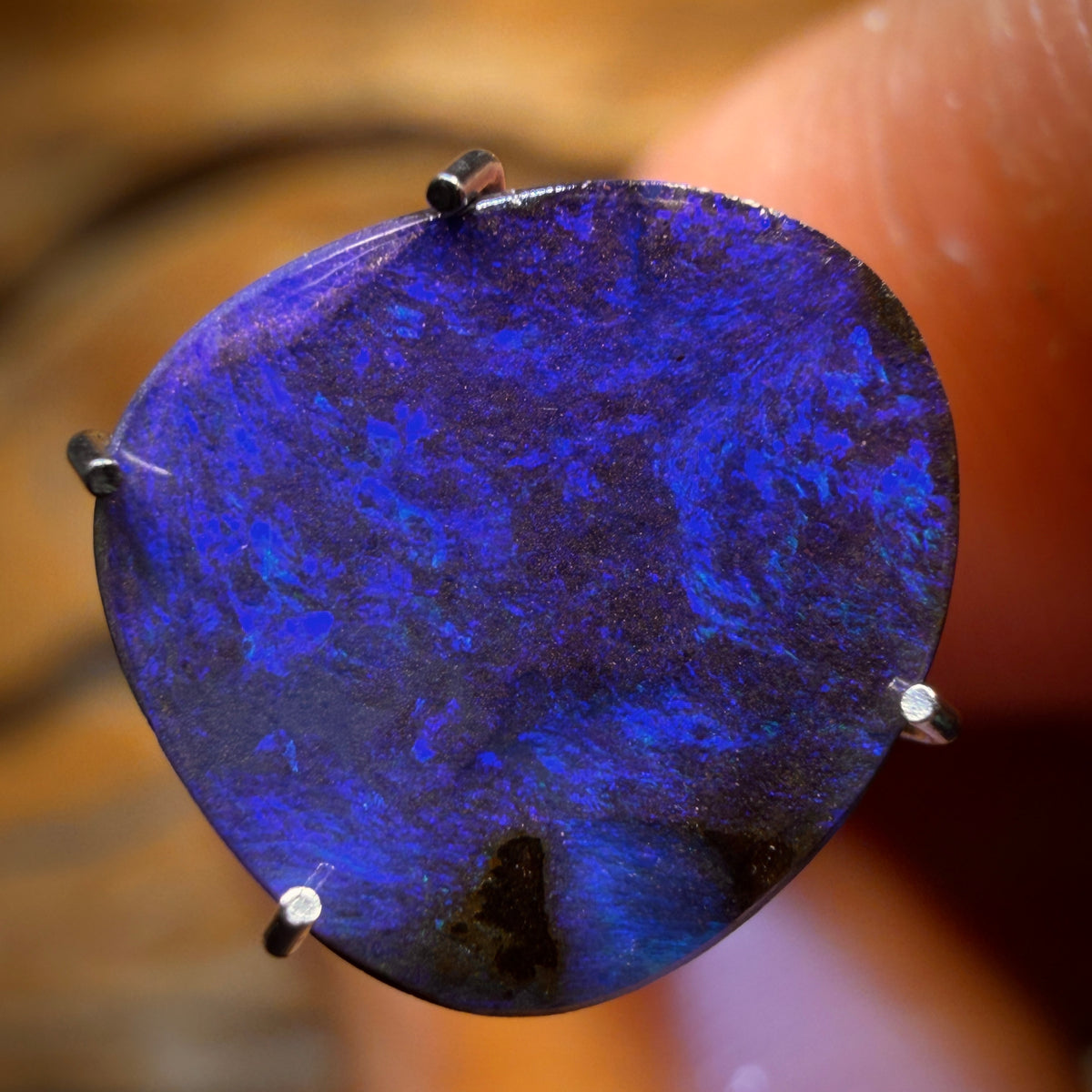 WILDCARD! “Royalty” 2.45cts - Australian Boulder Seam Opal