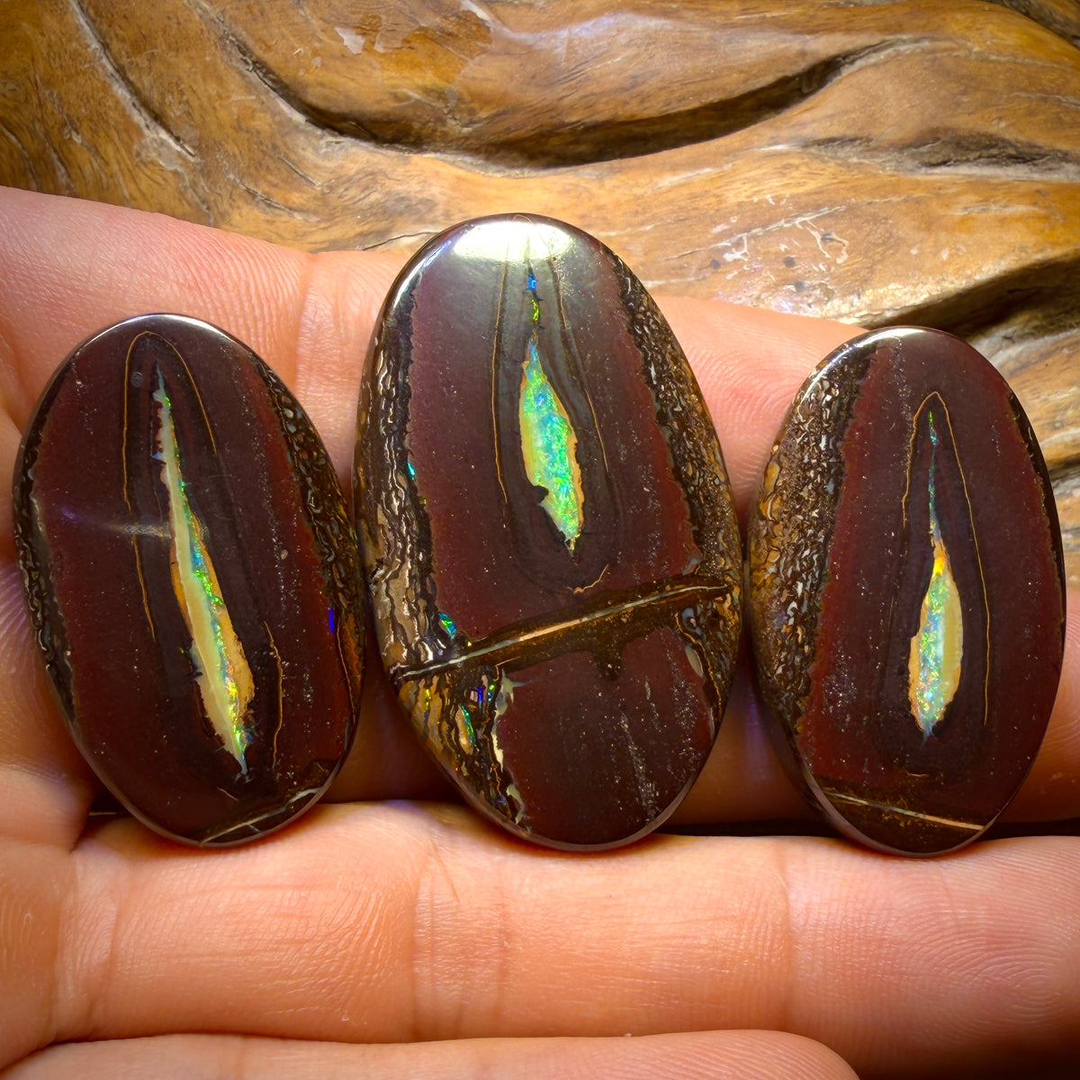 201.8cts - Super Rare Yowah Nut Crystal Centre Opal Trio Parcel. Australian Opal
